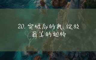 V体育-帕尔马顽强抗衡，努力寻找突破口