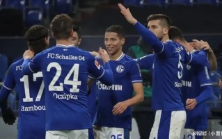 V体育官方app-勒沃库森负于沙尔克04，遭遇两连败