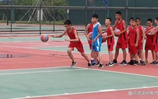 V体育官网-青少年篮球训练中心举办夏令营活动