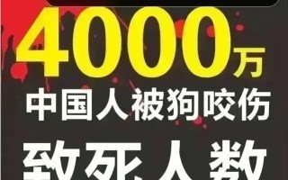 vsports体育-巴黎FC遭受重创，局势严峻