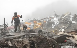 V体育官方app-波尔多客场遭遇失利，状态下滑难掩