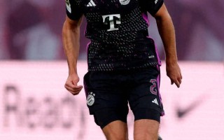 V体育官方app-莱昂·戈雷茨卡在比赛中实现完美表现