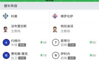 V体育-佛罗伦萨客场兵败，积分暂时停滞