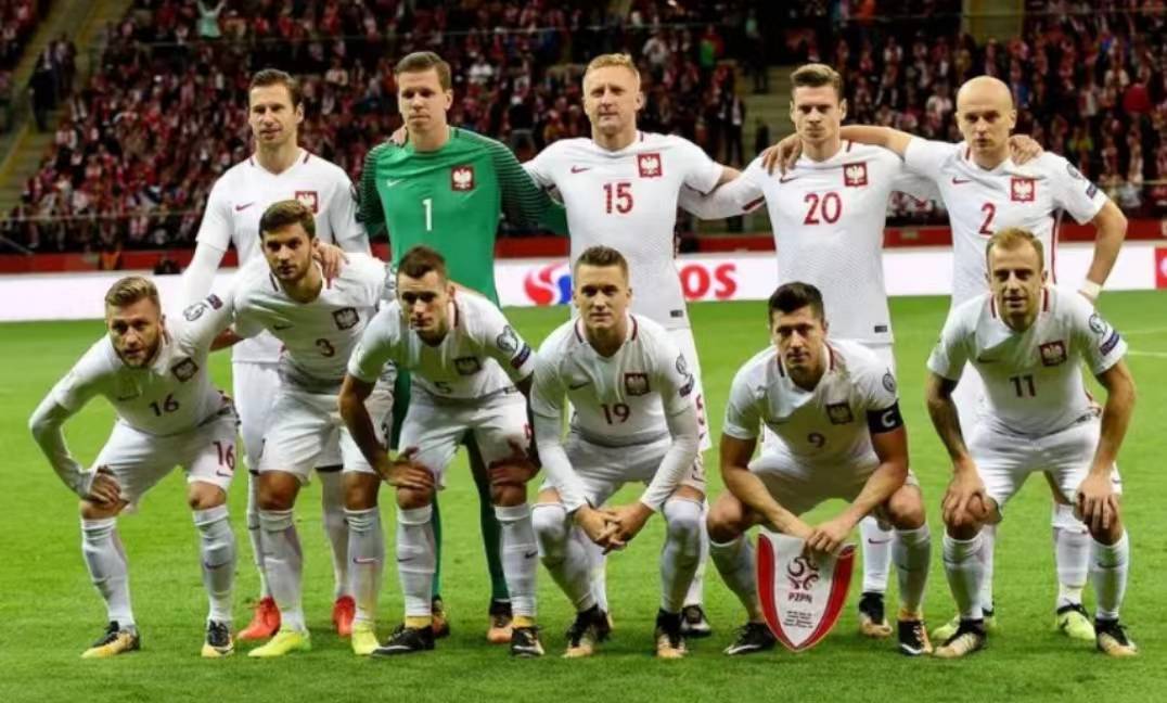 vsports体育-芬兰惊险艰难胜利：欧预赛前路风云变幻-第2张图片-V体育