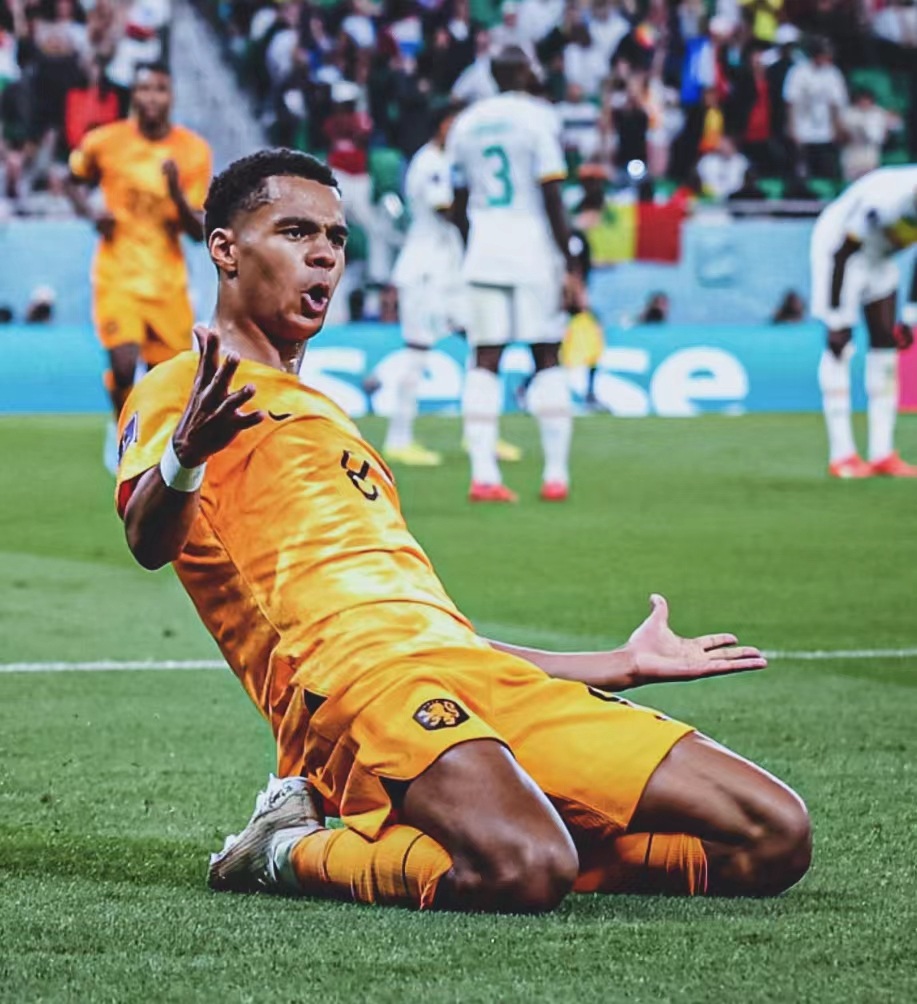 V体育官网-荷兰挑战奥地利,谁将占据上风-第1张图片-V体育 V体育官网-荷兰挑战奥地利,谁将占据上风-第1张图片-V体育