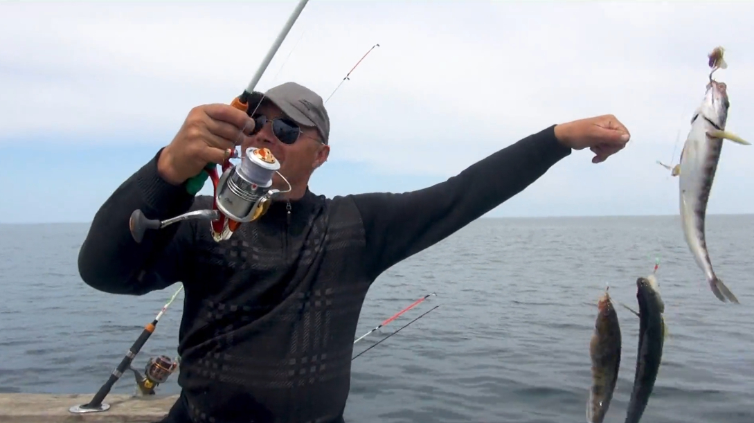 V体育-南美洲球员风头无两,成为比赛焦点-第2张图片-V体育 V体育-南美洲球员风头无两,成为比赛焦点-第2张图片-V体育