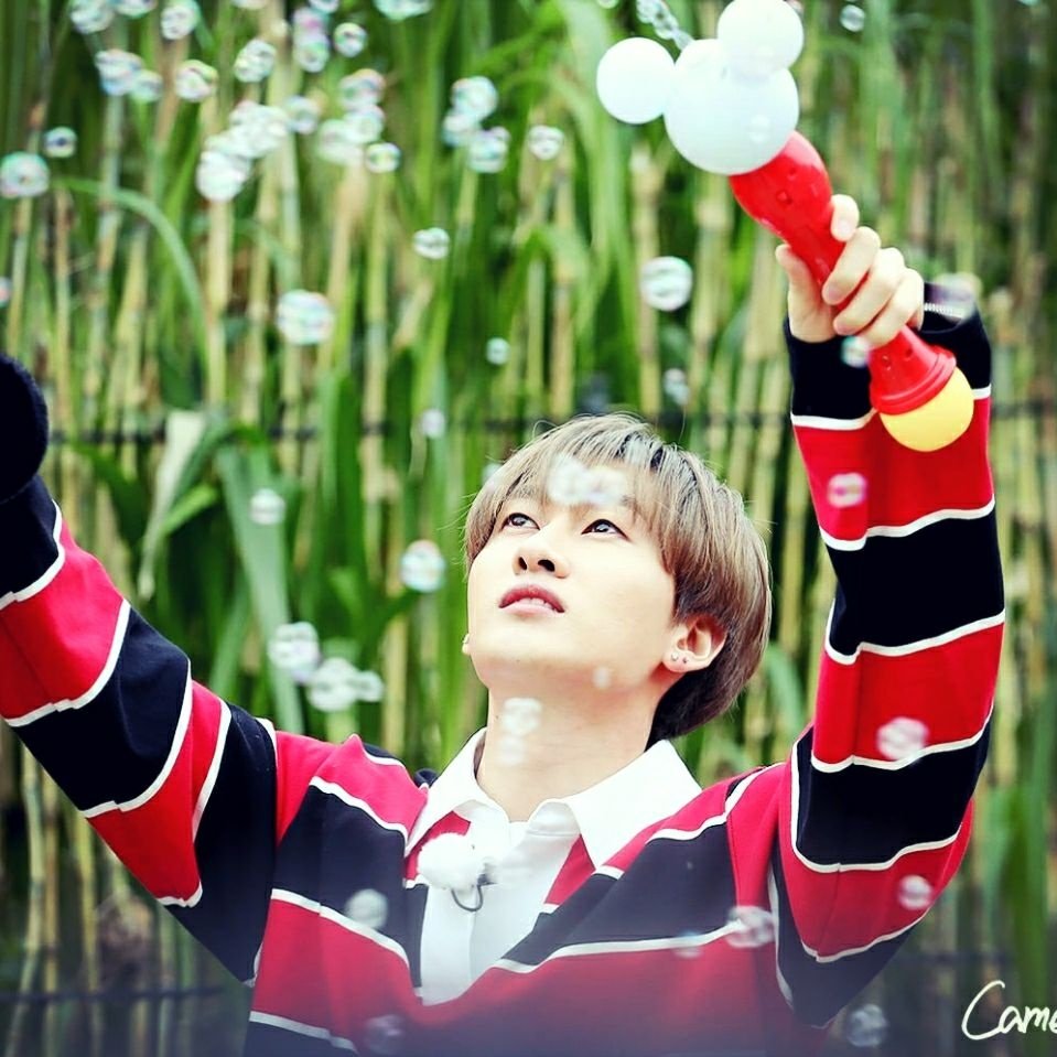 V体育-黎巴嫩羽毛球选手大获成功，闪亮登场-第1张图片-V体育