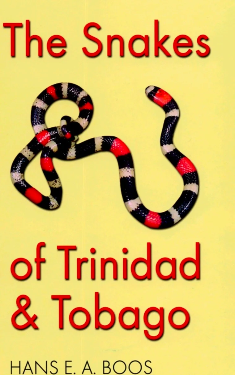 V体育官网-特立尼达和多巴哥队实力碾压,成功出线-第2张图片-V体育 V体育官网-特立尼达和多巴哥队实力碾压,成功出线-第2张图片-V体育