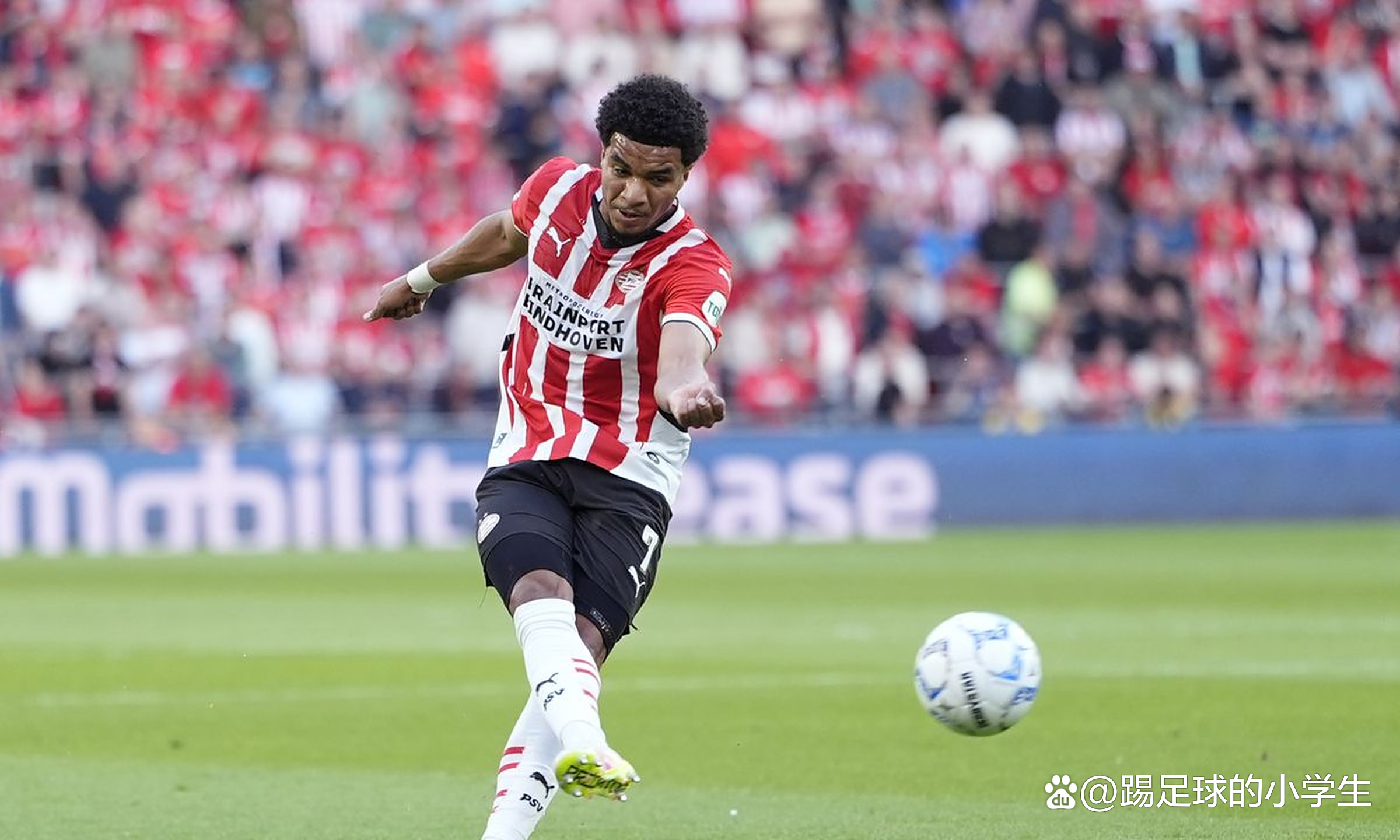 V体育官网-勒沃库森队员遭遇伤病困扰,需要时间恢复-第2张图片-V体育 V体育官网-勒沃库森队员遭遇伤病困扰,需要时间恢复-第2张图片-V体育